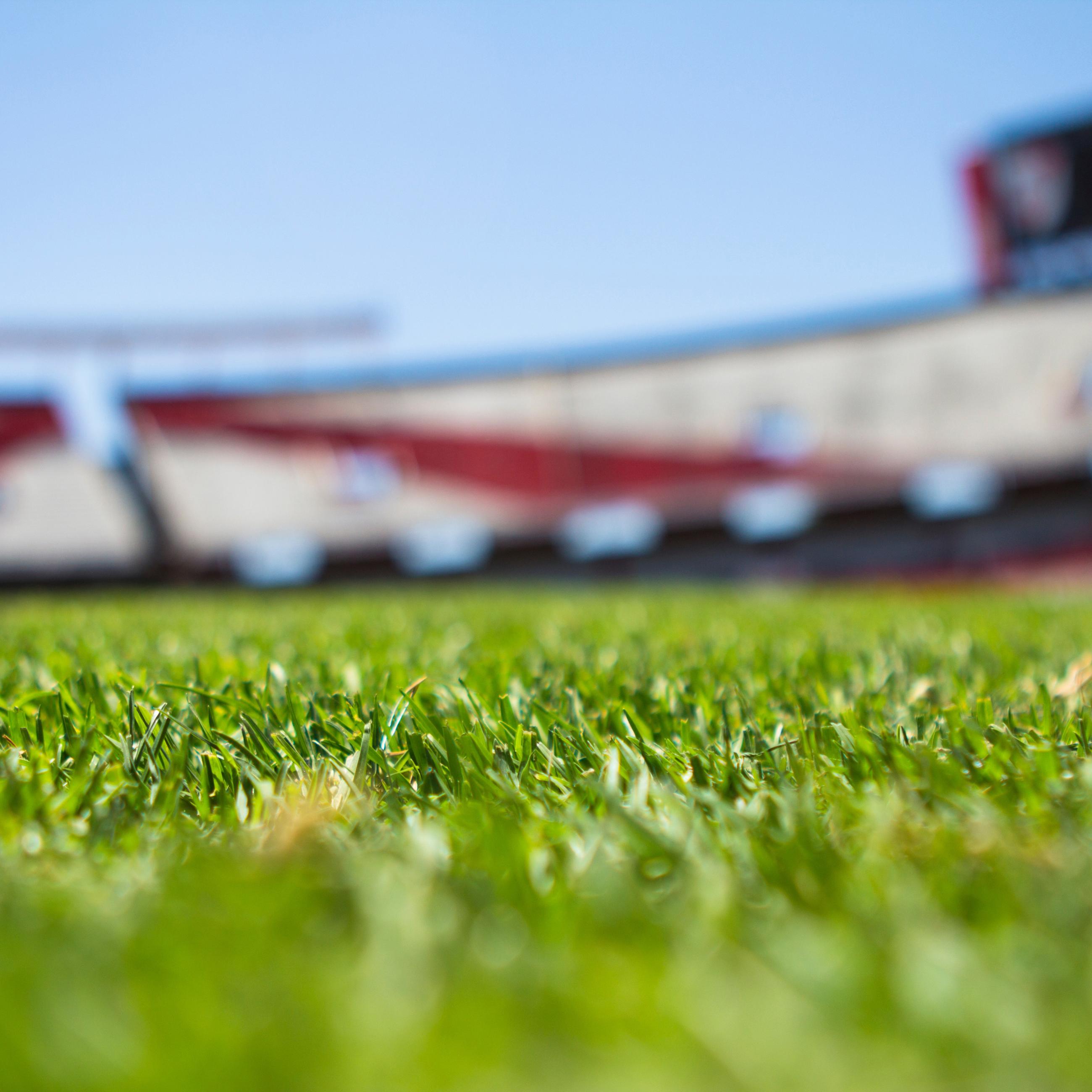 depth-of-field-field-grass